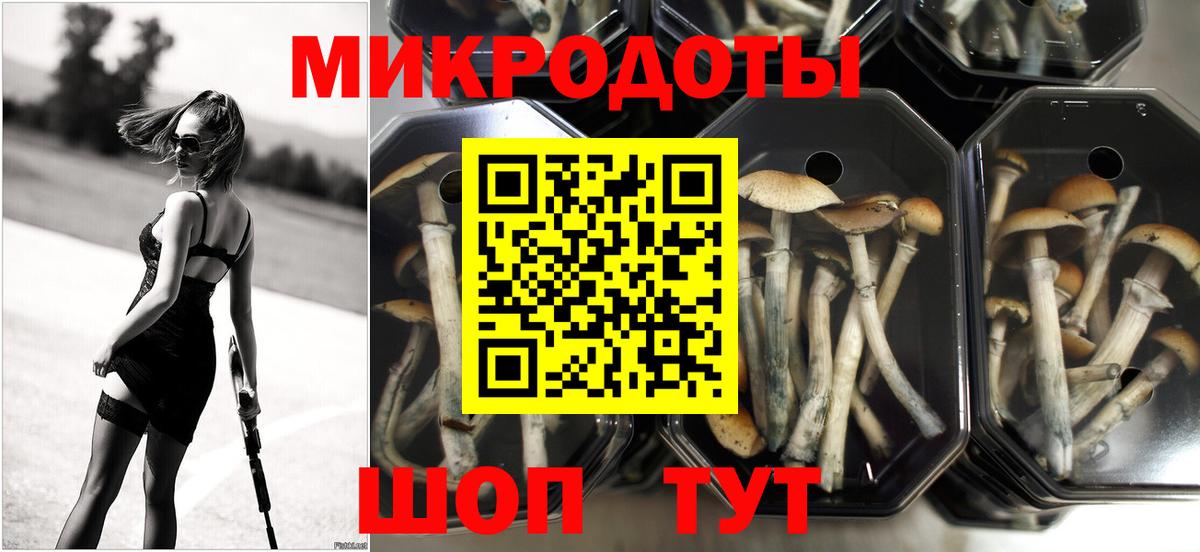 Псилоцибиновые грибы мухоморы  Галлюциногенные грибы Magic Shrooms  где найти наркотики  Лангепас  Вход с VPN 