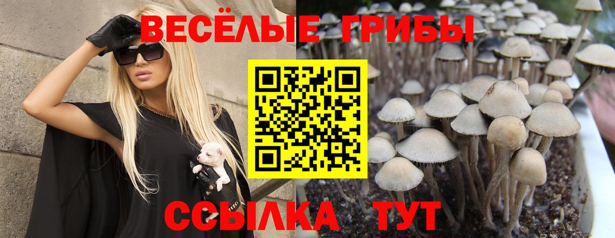 Псилоцибиновые грибы Cubensis Лангепас